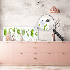 Glass backsplash w/ and w/o metal sheet backing with magnetic properties: Close Up of pot herbs