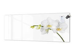 Large format horizontal backsplash - magnetic and non magnetic tempered glass: White orchid closeup