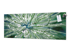 Tempered Glass magnetic and non magnetic splash-back in wide-format: Macro shot of flower head in morning dew