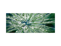 Tempered Glass magnetic and non magnetic splash-back in wide-format: Macro shot of flower head in morning dew