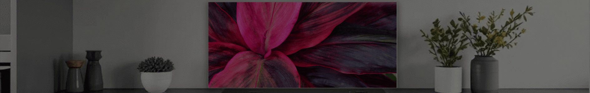 WIDE FORMAT SPLASHBACKS: Floral