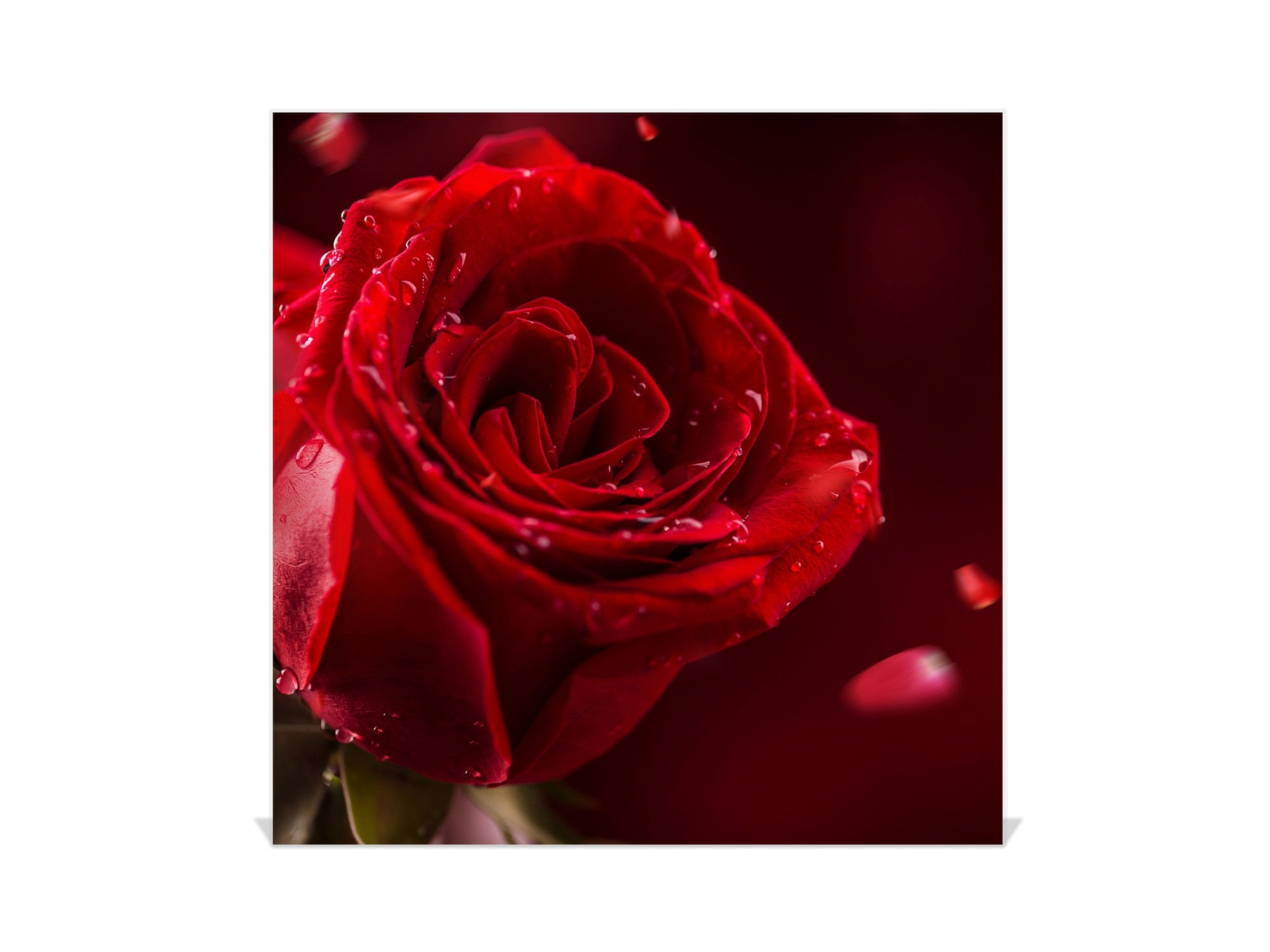 Decorative Key Box with Magnetic Glass Dry-Erase Board KN14 Nature series : Romantic red rose