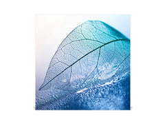 Decorative Key Box with Magnetic Glass Dry-Erase Board KN14 Nature series : Transparent blue leaf