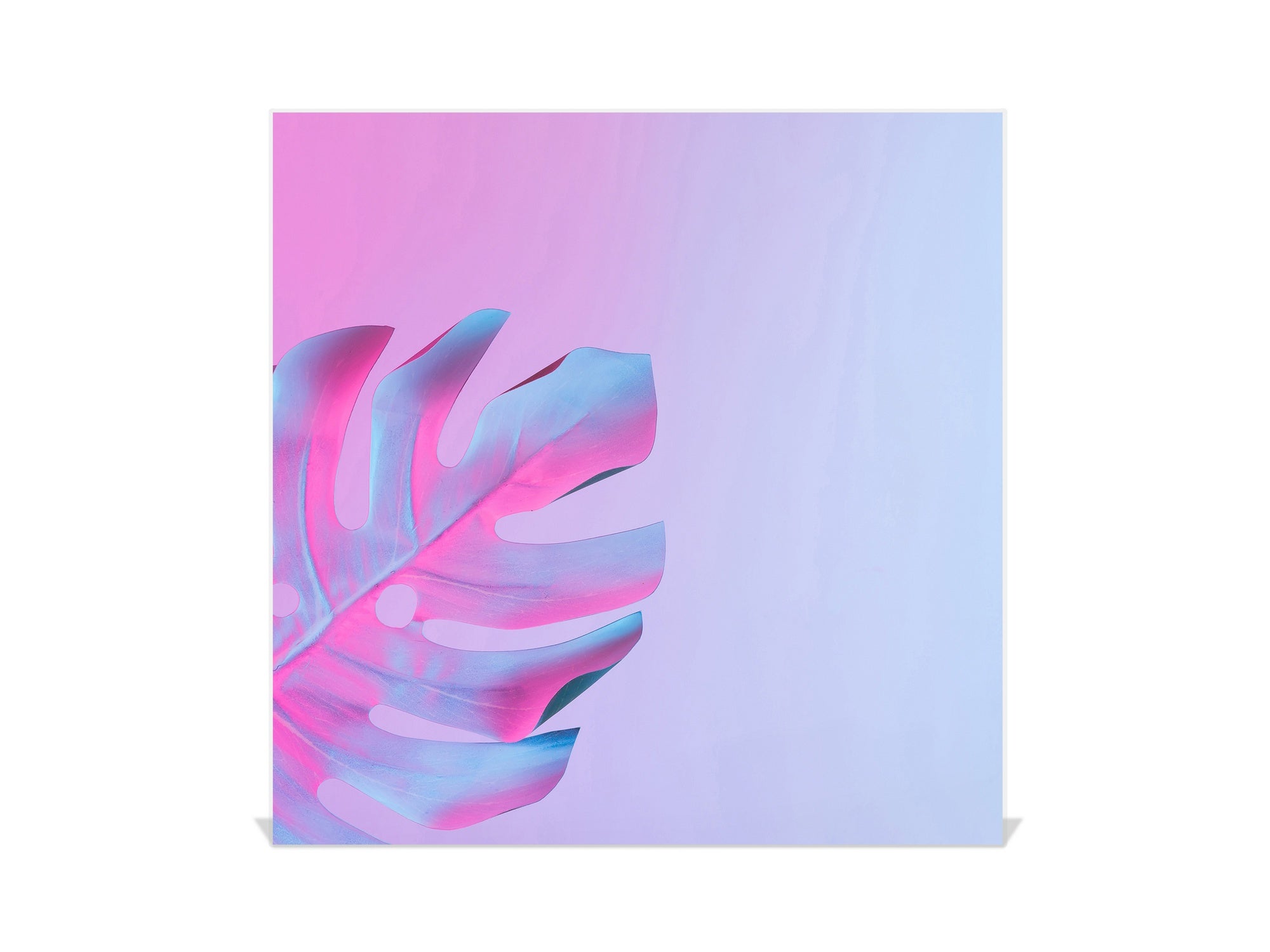 Decorative Key Box with Magnetic Glass Dry-Erase Board KN14 Nature series : Monstera deliciosa 1