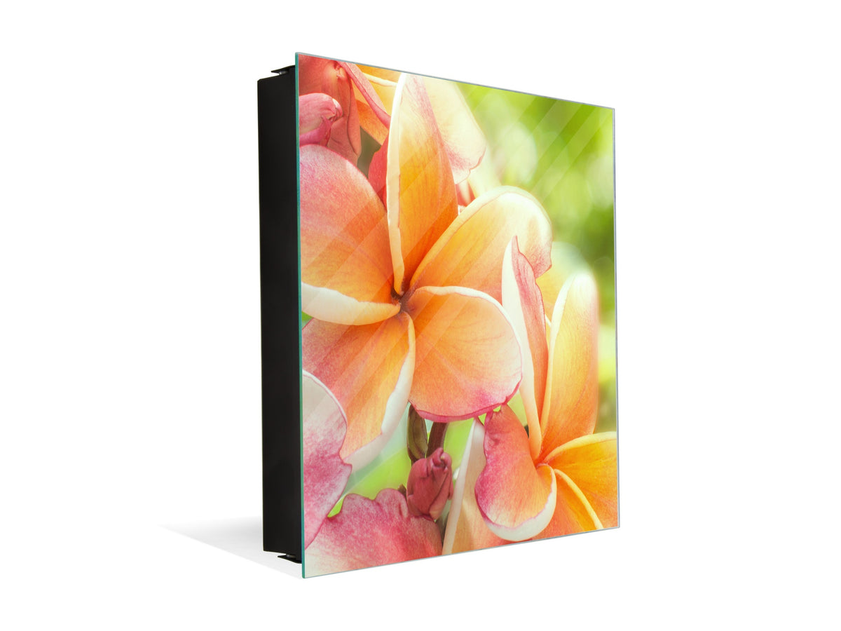 Decorative Key Box with Magnetic Glass Dry-Erase Board KN14 Nature series : Frangipani flower