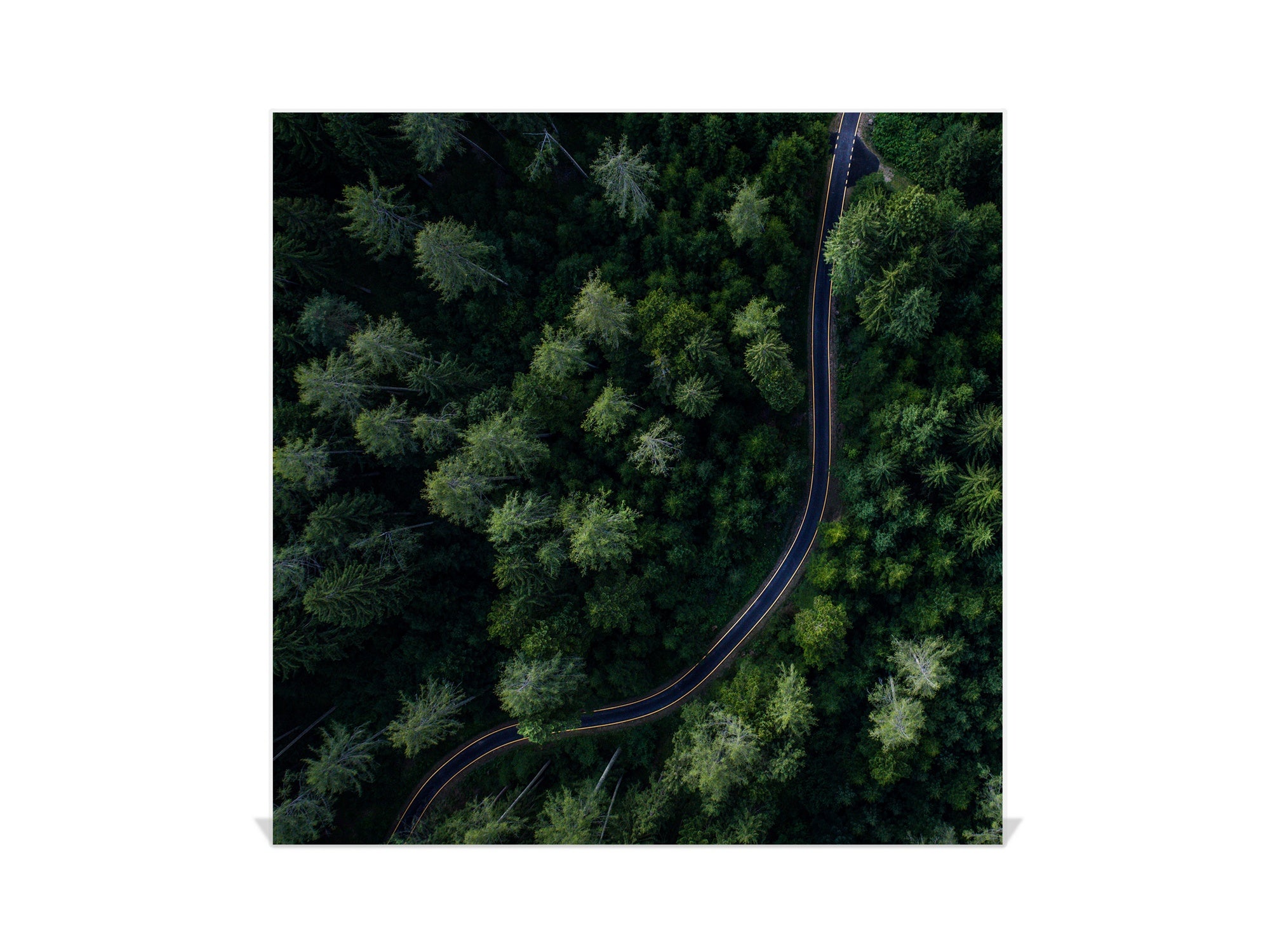 Wall Mounted Key Holder and Magnetic Dry-Erase Glass Board KN19  Miscellaneous Series : Forest road