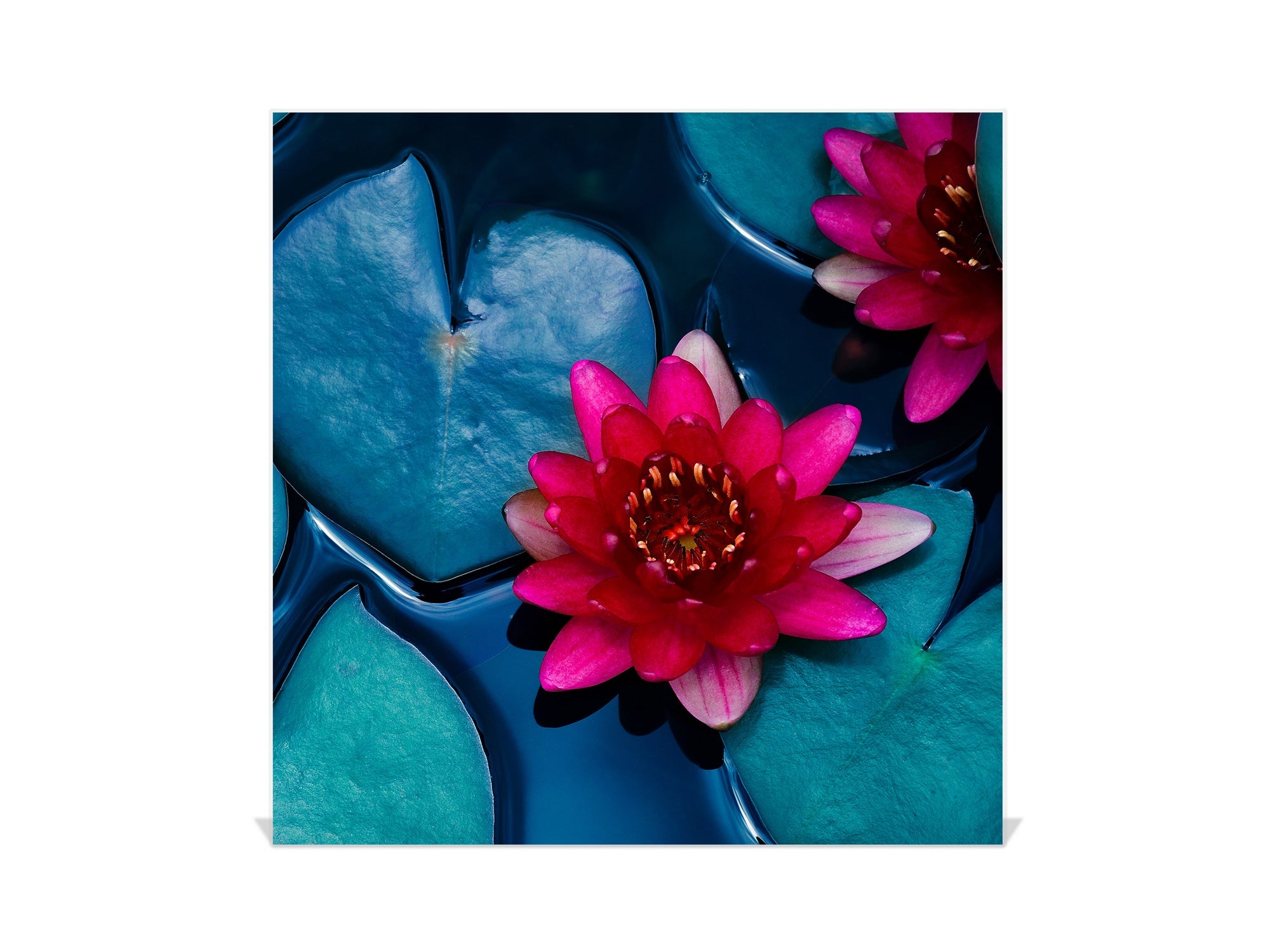 Decorative Key Box with Magnetic Glass Dry-Erase Board KN14 Nature series : Pink lotus flower