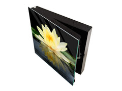 Decorative Key Box with Magnetic Glass Dry-Erase Board KN14 Nature series : Beautiful water lilly flower 2