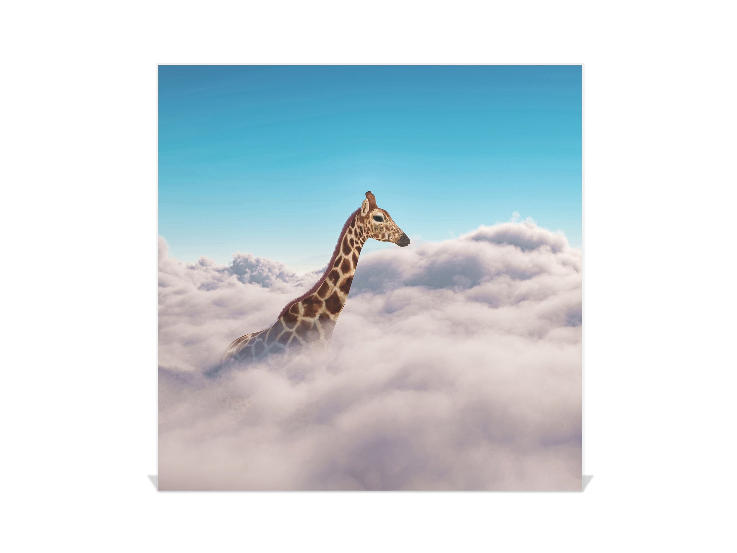 Decorative Key Box with Magnetic Glass Memo Board - Tempered Glass Wall Art - KN21 Abstract Concepts Series 1 : Giraffe above Clouds