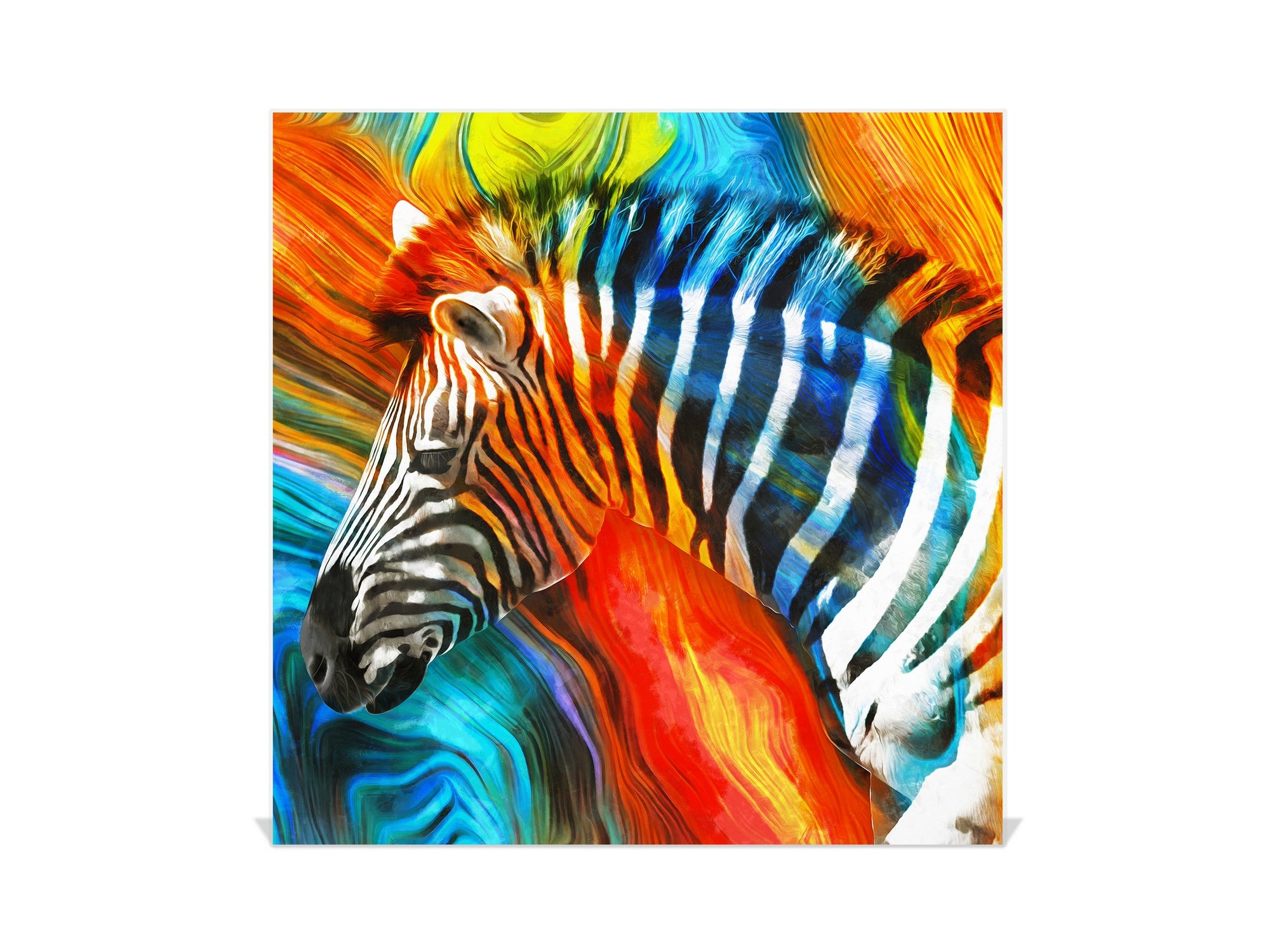 Decorative Key Organizer with Magnetic Surface Dry-Erase Board KN17 Animals Series : Colourful zebra