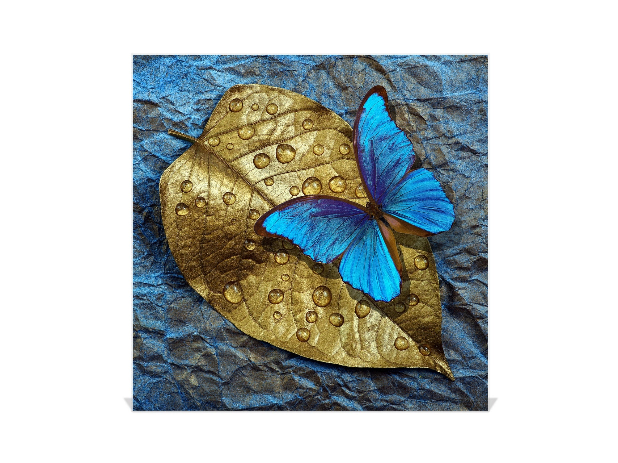 Decorative Key Organizer with Magnetic Surface Dry-Erase Board KN17 Animals Series : Tropical butterfly 1