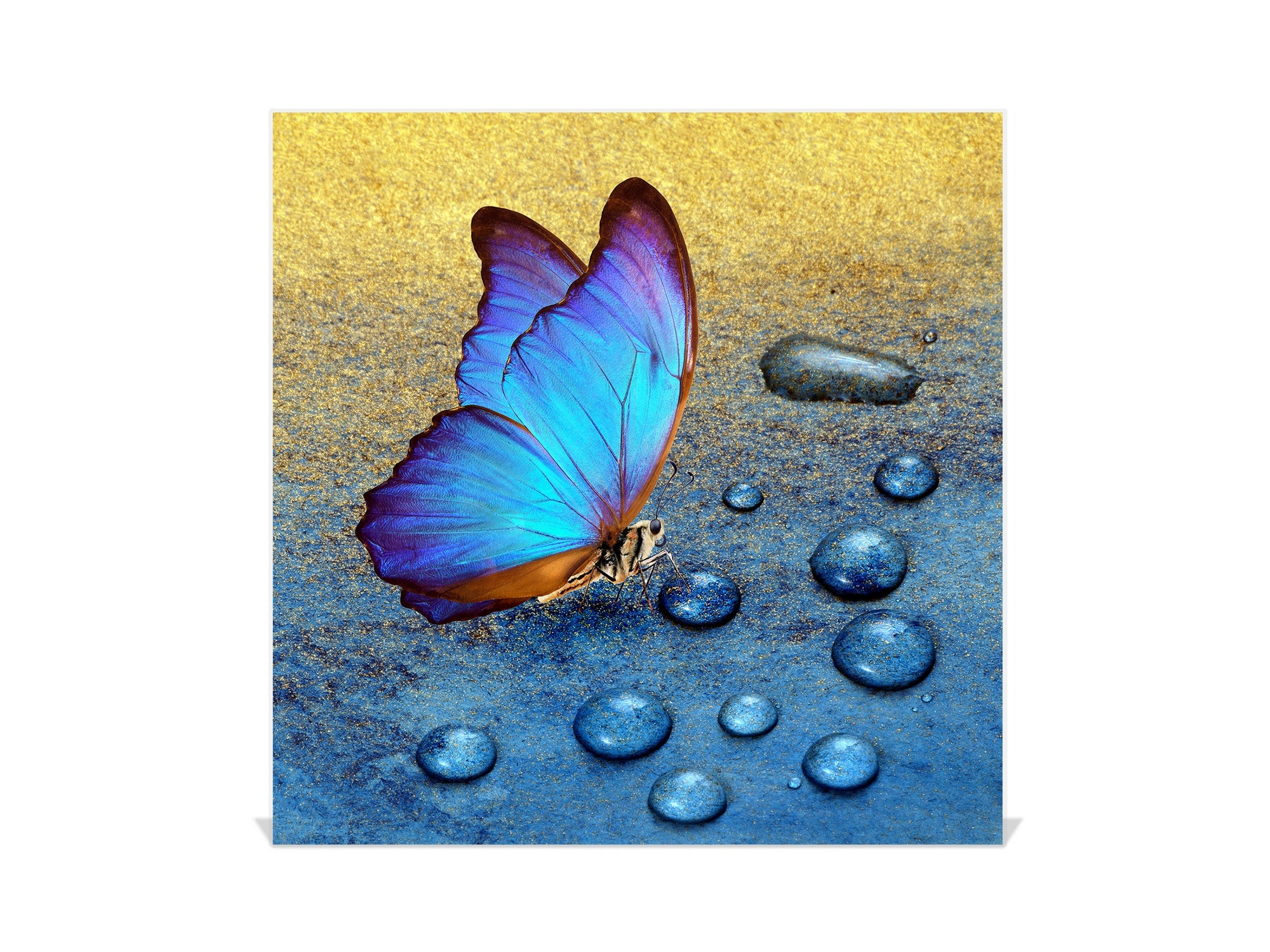 Decorative Key Organizer with Magnetic Surface Dry-Erase Board KN17 Animals Series : Tropical butterfly 2