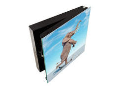 Decorative Key Box with Magnetic Glass Memo Board - Tempered Glass Wall Art - KN21 Abstract Concepts Series 1 : Surreal skateboarding