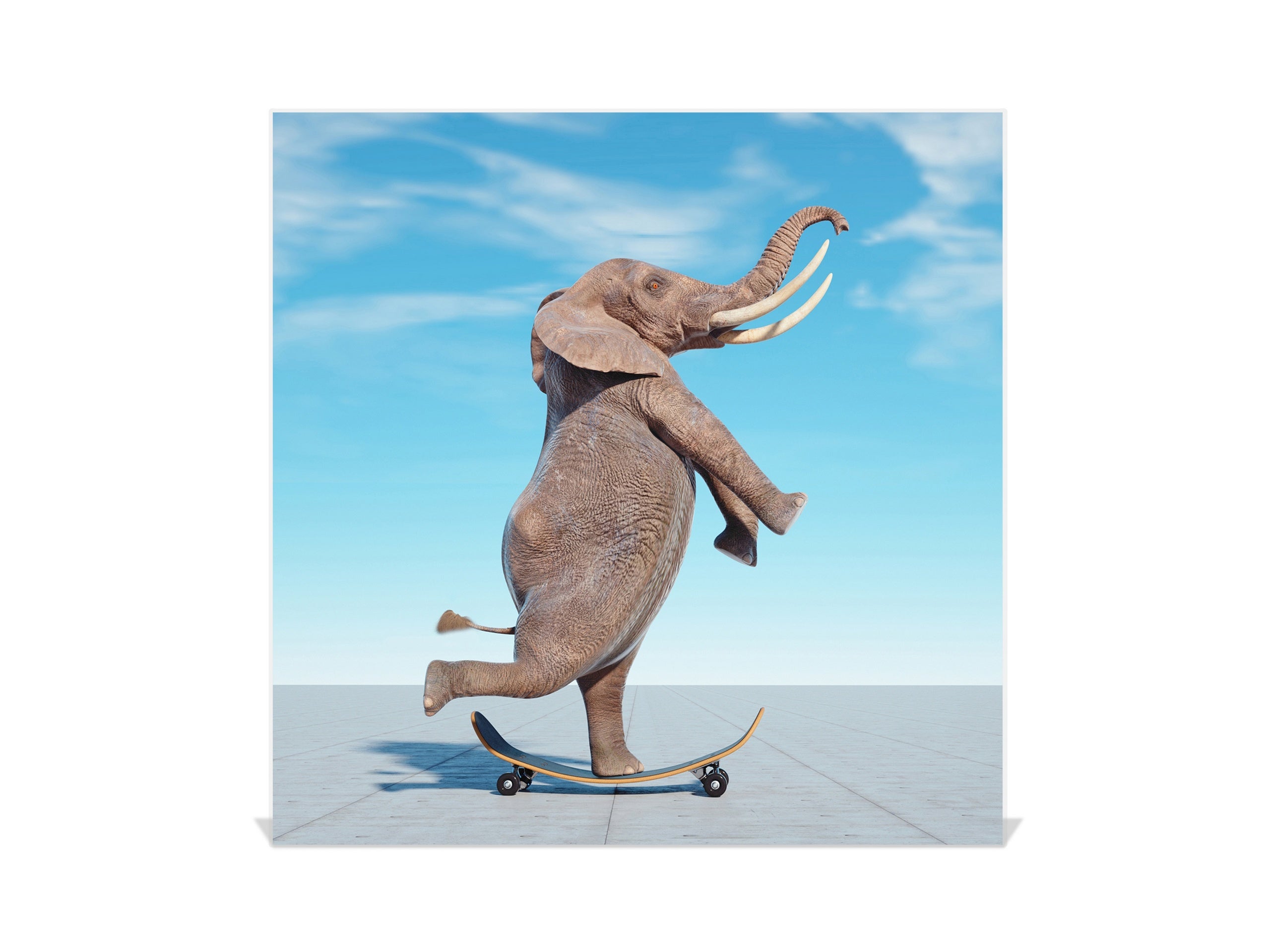 Decorative Key Box with Magnetic Glass Memo Board - Tempered Glass Wall Art - KN21 Abstract Concepts Series 1 : Surreal skateboarding