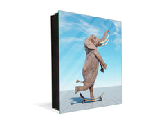 Decorative Key Box with Magnetic Glass Memo Board - Tempered Glass Wall Art - KN21 Abstract Concepts Series 1 : Surreal skateboarding