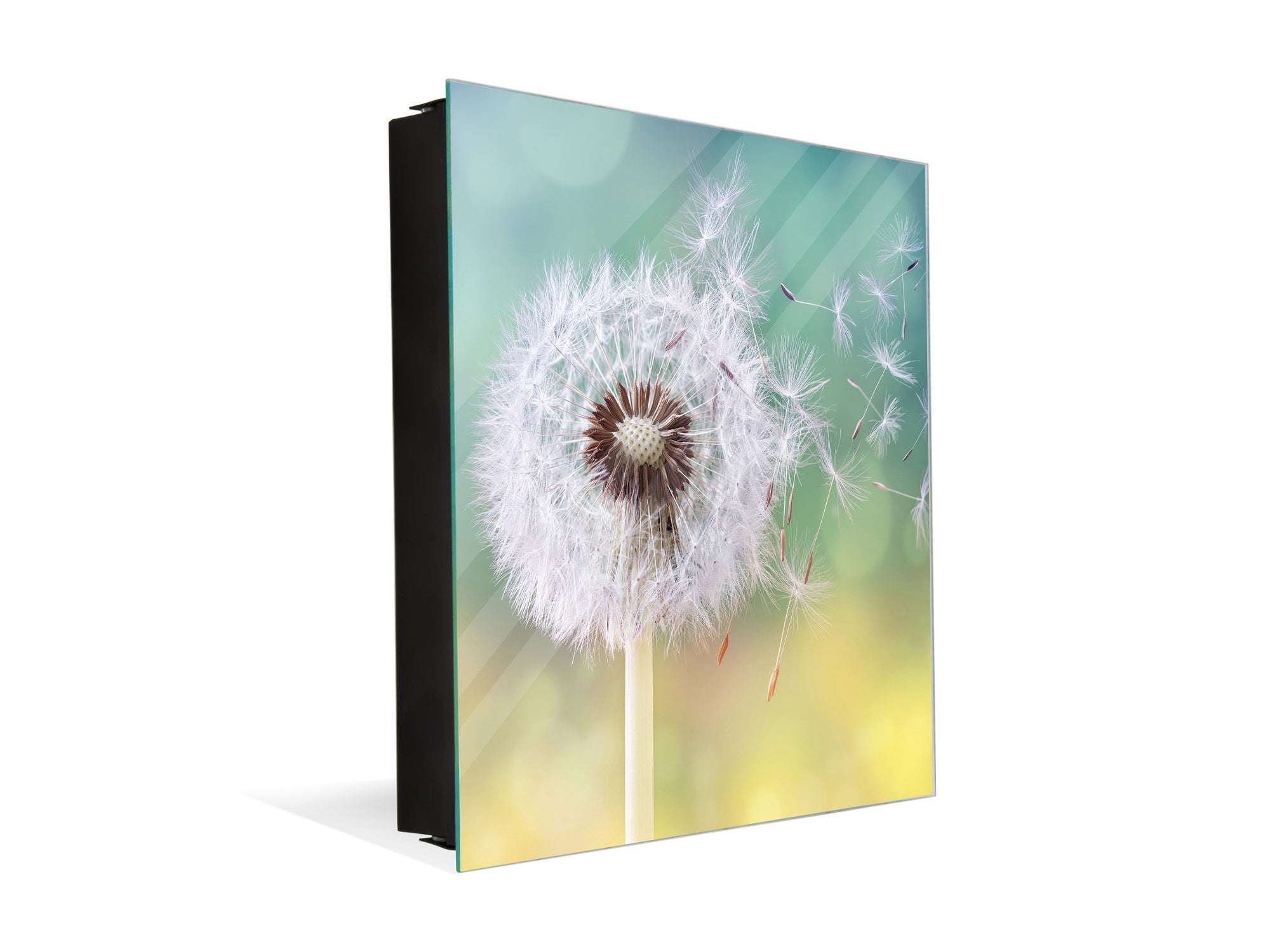 Decorative Key Box with Magnetic Glass Dry-Erase Board KN14 Nature series : Dandelion