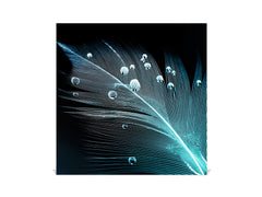 Wall Mounted Key Holder and Magnetic Dry-Erase Glass Board KN19  Miscellaneous Series : Feather water drops