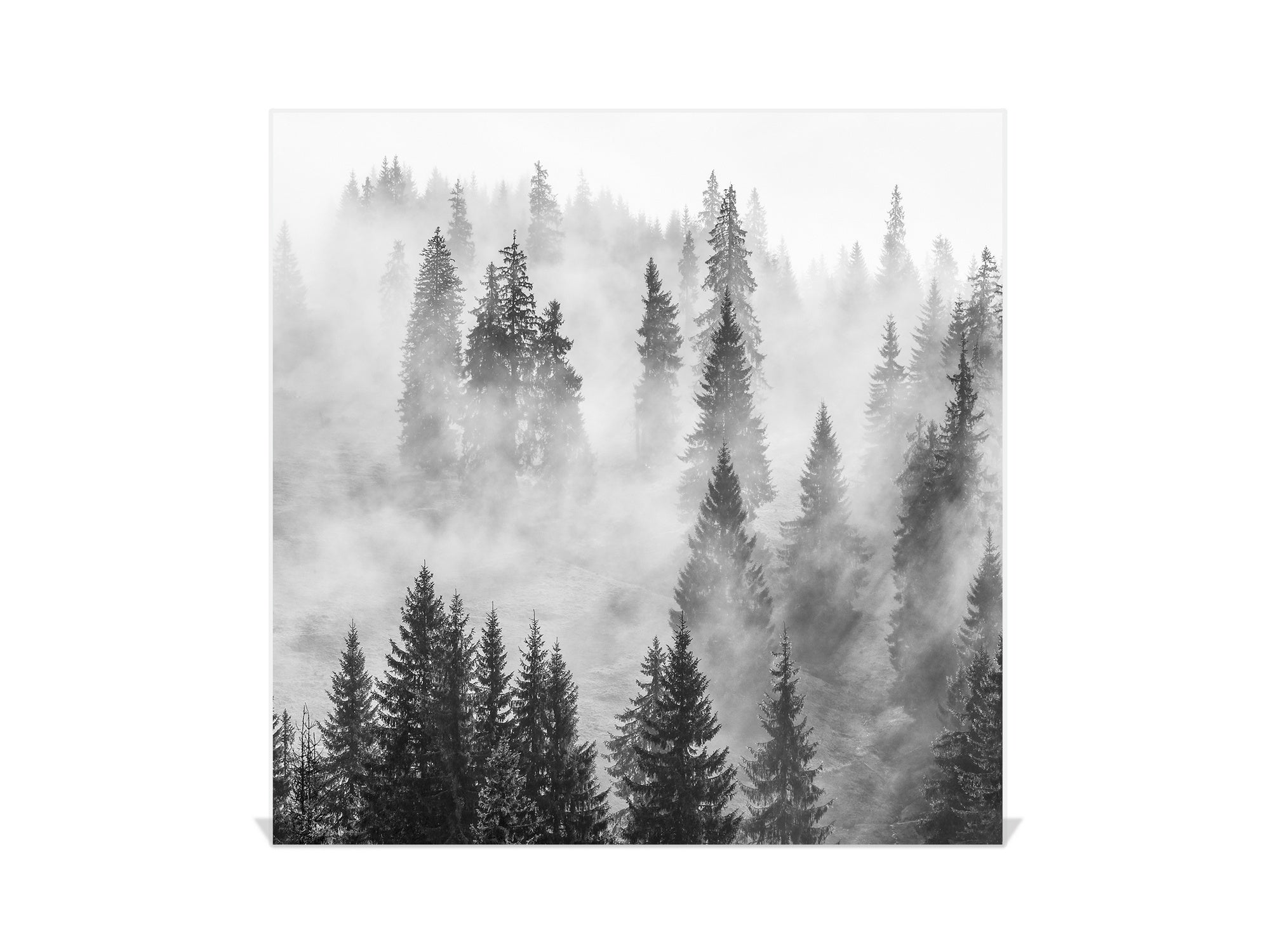 Wall Mounted Key Holder and Magnetic Dry-Erase Glass Board KN19  Miscellaneous Series : Foggy forest