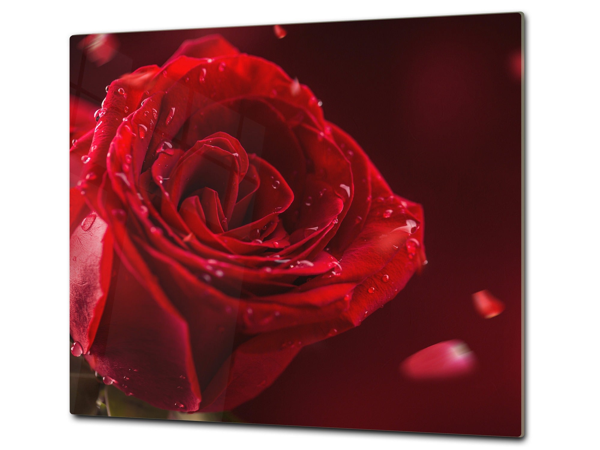 Tempered GLASS Cutting Board – Worktop saver and Pastry Board –- Glass Kitchen Board; MEASURES: SINGLE: 60 x 52 cm (23,62” x 20,47”); DOUBLE: 30 x 52 cm (11,81” x 20,47”); D34 Nature Series: Romantic red rose