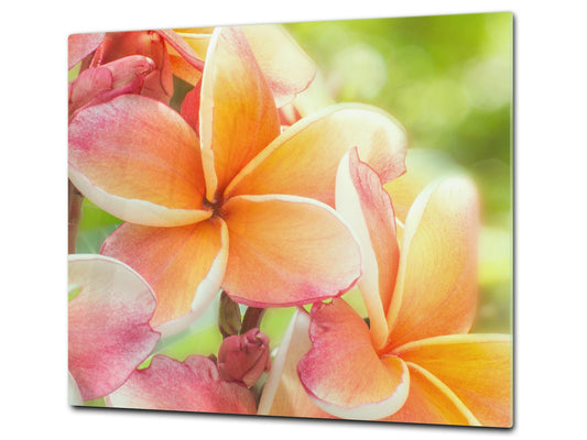 Tempered GLASS Cutting Board – Worktop saver and Pastry Board –- Glass Kitchen Board; MEASURES: SINGLE: 60 x 52 cm (23,62” x 20,47”); DOUBLE: 30 x 52 cm (11,81” x 20,47”); D34 Nature Series: Frangipani flower