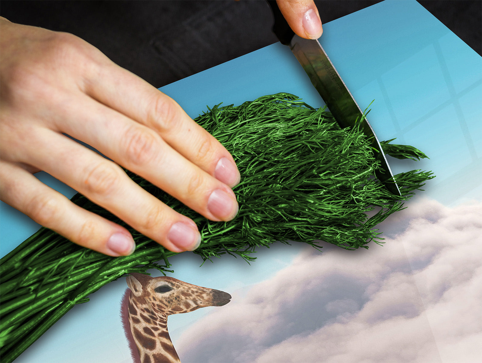 Tabla de cortar - Cubierta de la placa de inducción D04 Serie Bebidas: Cerezas 7