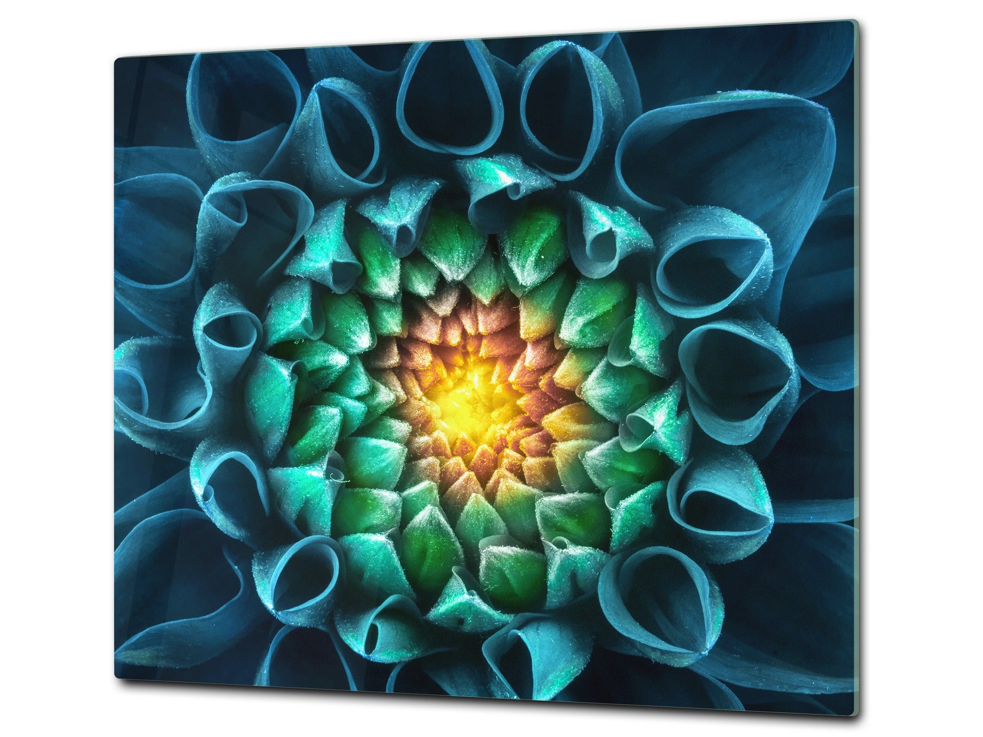 Tempered GLASS Cutting Board – Worktop saver and Pastry Board –- Glass Kitchen Board; MEASURES: SINGLE: 60 x 52 cm (23,62” x 20,47”); DOUBLE: 30 x 52 cm (11,81” x 20,47”); D34 Nature Series: Blue-green flower