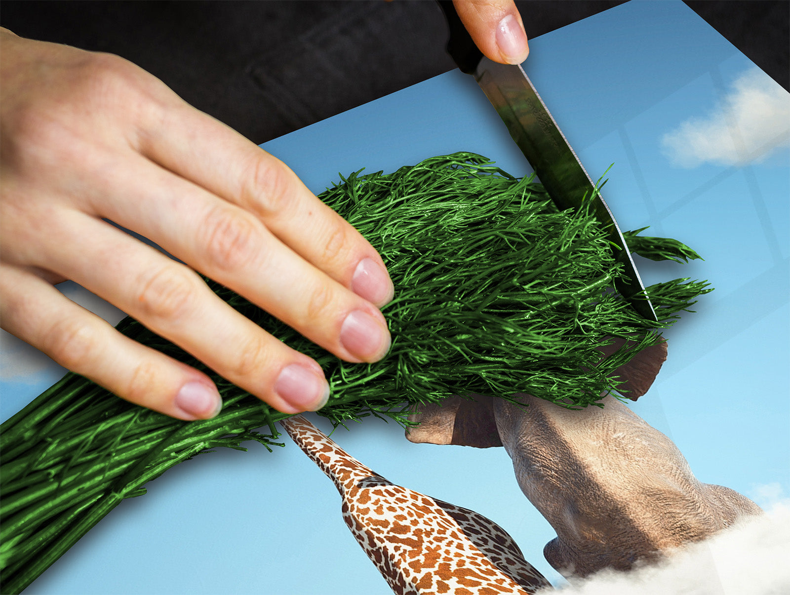 Versatile Tempered Glass Worktop Saver and Induction Cooktop Cover – Durable and Scratch-Resistant – MEASURES: SINGLE: 60 x 52 cm; DOUBLE: 2 x 30 x 52 cm; D41 Abstract Concepts Series 1 : Cloud of Friendship