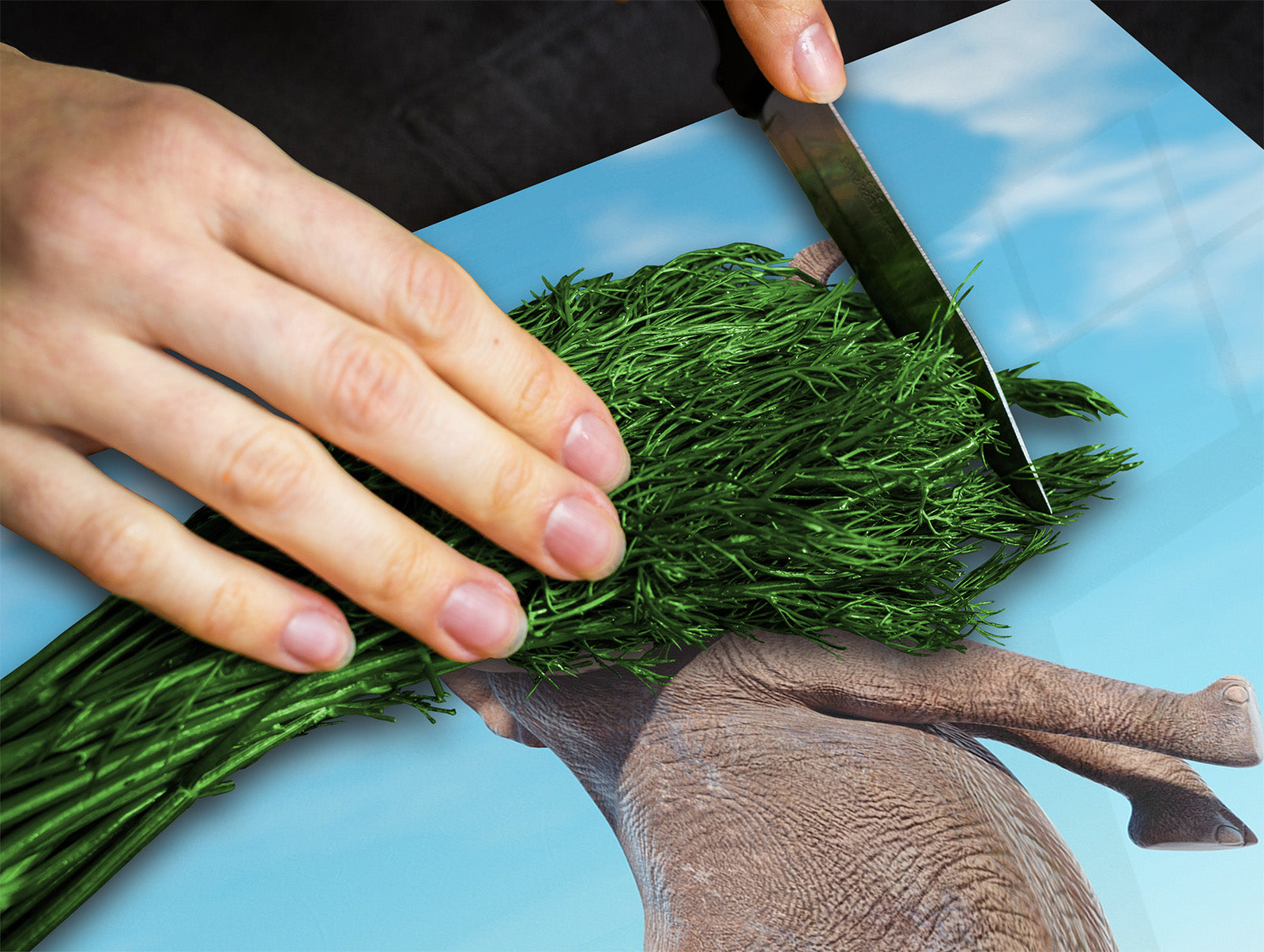 Versatile Tempered Glass Worktop Saver and Induction Cooktop Cover – Durable and Scratch-Resistant – MEASURES: SINGLE: 60 x 52 cm; DOUBLE: 2 x 30 x 52 cm; D41 Abstract Concepts Series 1 : Surreal skateboarding