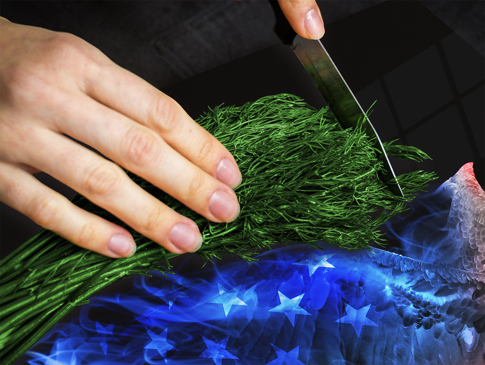 Induction Cooktop Cover Kitchen Board – Impact Resistant Glass Pastry Board; MEASURES: SINGLE: 60 x 52 cm (23,62” x 20,47”); DOUBLE: 30 x 52 cm (11,81” x 20,47”); D37 Animals Series : Colourful eagle