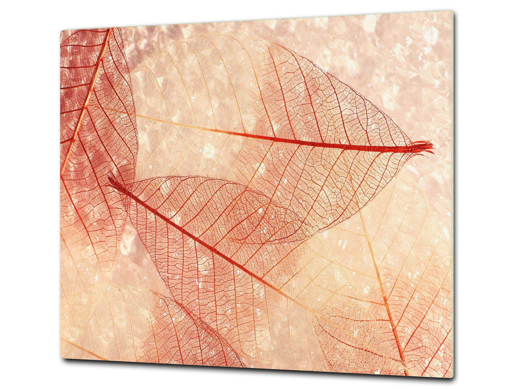 Tempered GLASS Cutting Board – Worktop saver and Pastry Board –- Glass Kitchen Board; MEASURES: SINGLE: 60 x 52 cm (23,62” x 20,47”); DOUBLE: 30 x 52 cm (11,81” x 20,47”); D34 Nature Series: Transparent orange leaves