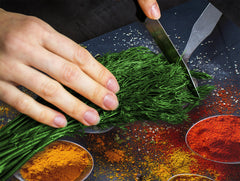 Induction Cooktop Cover –Shatter Resistant Glass Kitchen Board – Hob cover; MEASURES: SINGLE: 60 x 52 cm (23,62” x 20,47”); DOUBLE: 30 x 52 cm (11,81” x 20,47”); D38 Herbs and spices Series : Spoonful of spices