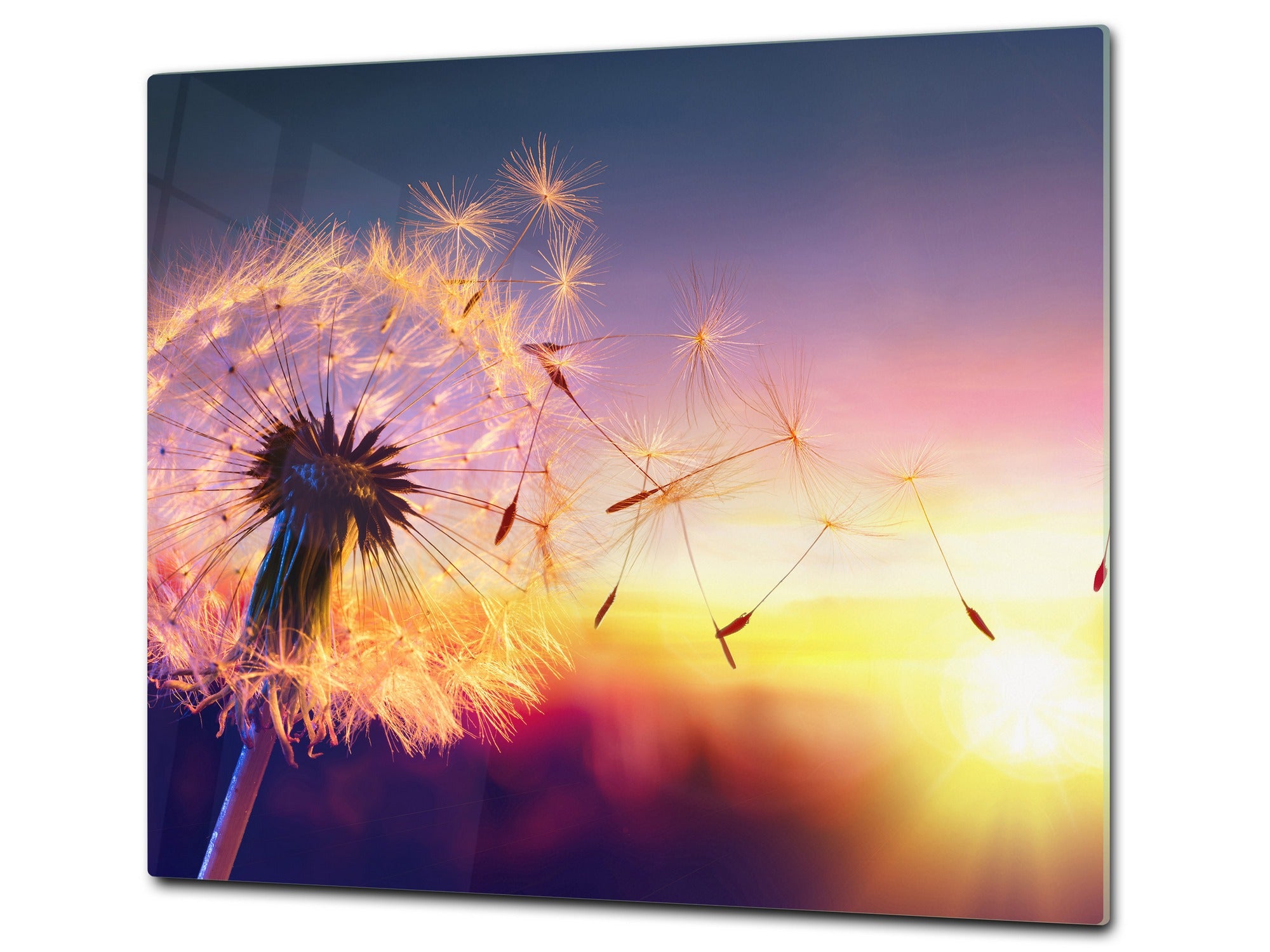 Tempered GLASS Cutting Board – Worktop saver and Pastry Board –- Glass Kitchen Board; MEASURES: SINGLE: 60 x 52 cm (23,62” x 20,47”); DOUBLE: 30 x 52 cm (11,81” x 20,47”); D34 Nature Series: Sunset dandelion