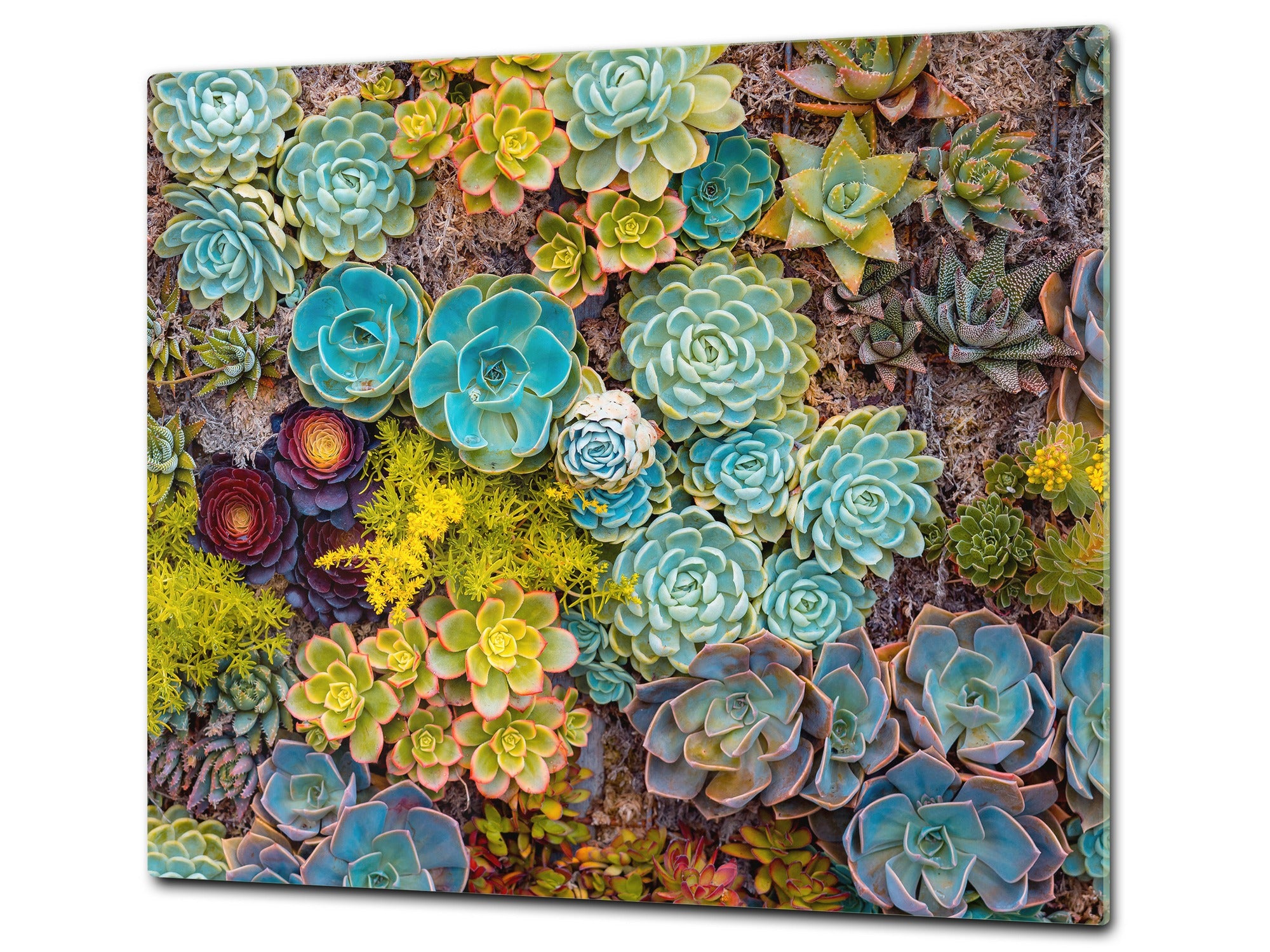 Tempered GLASS Cutting Board – Worktop saver and Pastry Board –- Glass Kitchen Board; MEASURES: SINGLE: 60 x 52 cm (23,62” x 20,47”); DOUBLE: 30 x 52 cm (11,81” x 20,47”); D34 Nature Series: Rock garden 1