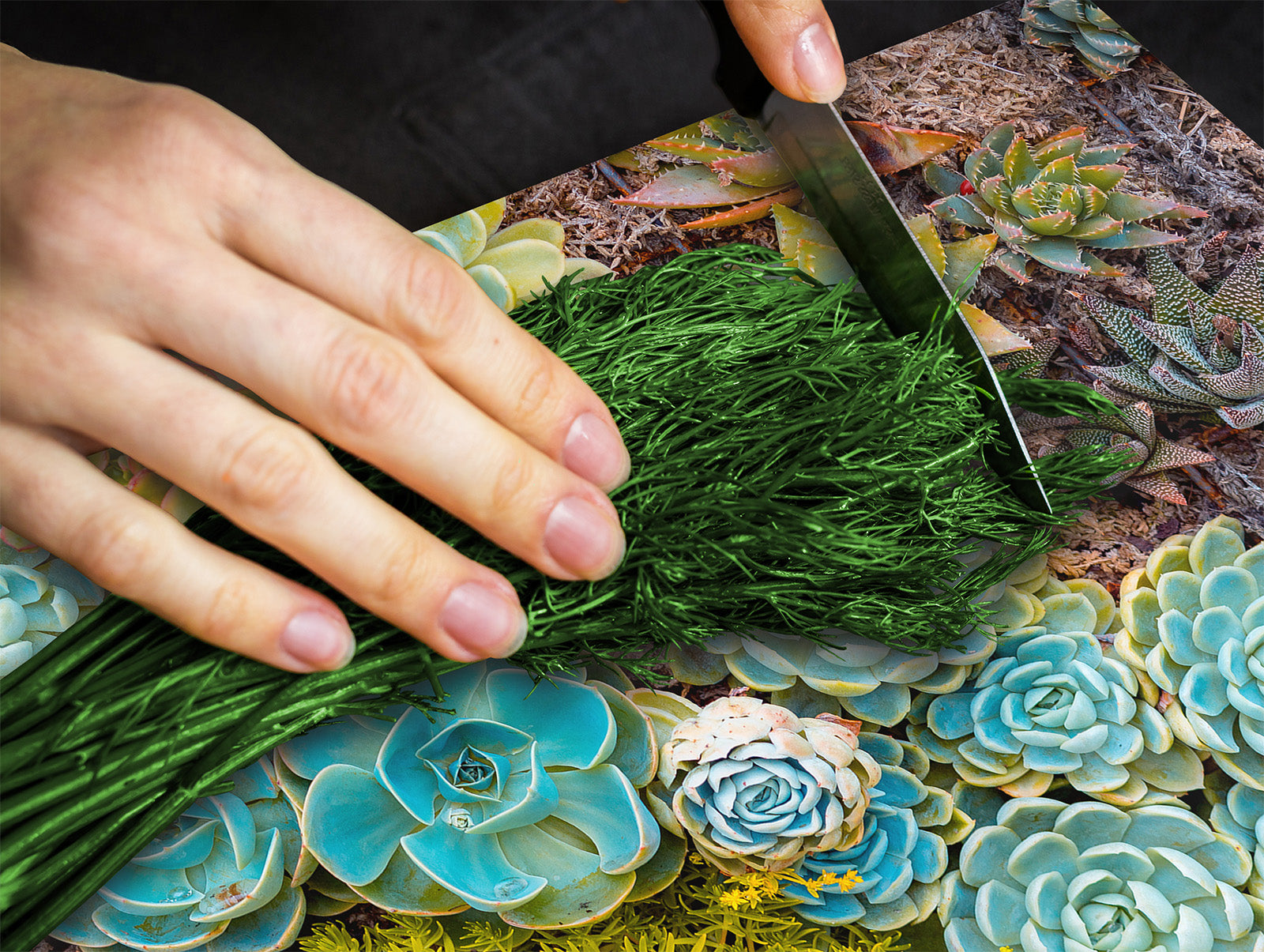 Tempered GLASS Cutting Board – Worktop saver and Pastry Board –- Glass Kitchen Board; MEASURES: SINGLE: 60 x 52 cm (23,62” x 20,47”); DOUBLE: 30 x 52 cm (11,81” x 20,47”); D34 Nature Series: Rock garden 1