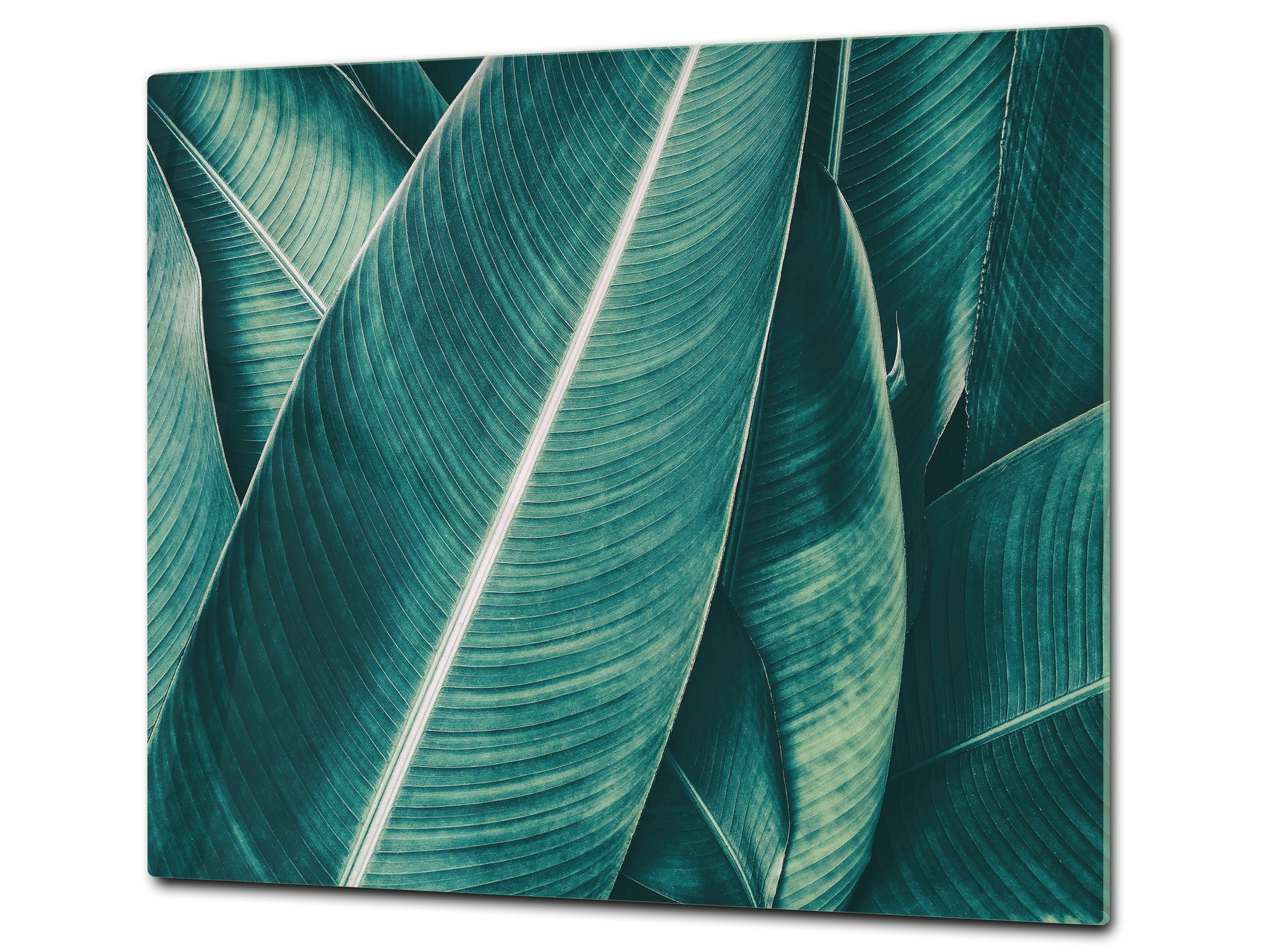 Tempered GLASS Cutting Board – Worktop saver and Pastry Board –- Glass Kitchen Board; MEASURES: SINGLE: 60 x 52 cm (23,62” x 20,47”); DOUBLE: 30 x 52 cm (11,81” x 20,47”); D34 Nature Series: Tropical leaves texture