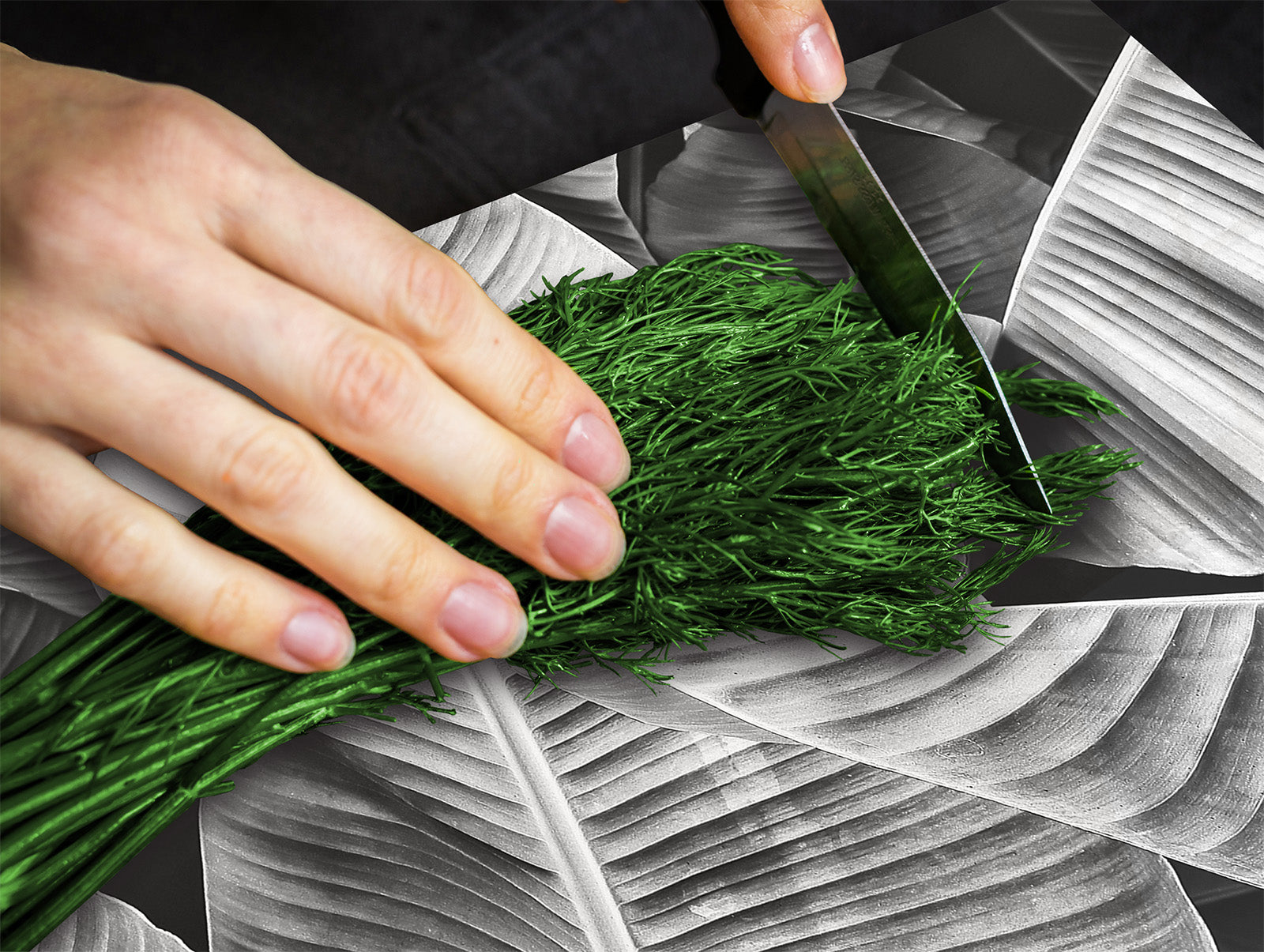 Tempered GLASS Cutting Board – Worktop saver and Pastry Board –- Glass Kitchen Board; MEASURES: SINGLE: 60 x 52 cm (23,62” x 20,47”); DOUBLE: 30 x 52 cm (11,81” x 20,47”); D34 Nature Series: Black and white banana leaves