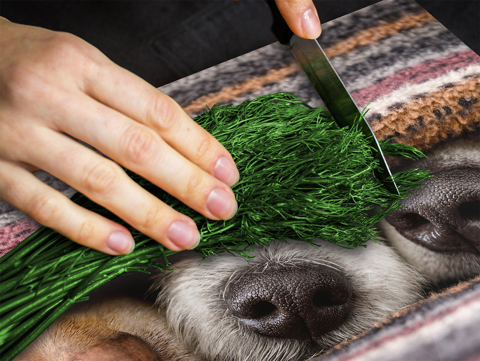 Induction Cooktop Cover Kitchen Board – Impact Resistant Glass Pastry Board; MEASURES: SINGLE: 60 x 52 cm (23,62” x 20,47”); DOUBLE: 30 x 52 cm (11,81” x 20,47”); D37 Animals Series : Sleeping dogs