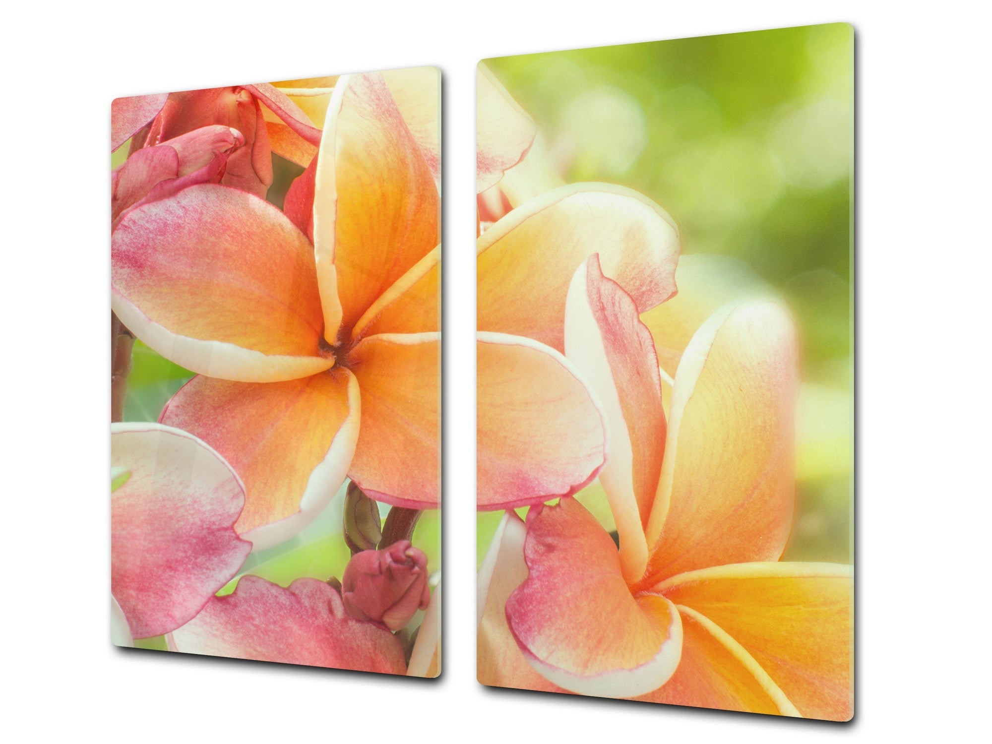Tempered GLASS Cutting Board – Worktop saver and Pastry Board –- Glass Kitchen Board; MEASURES: SINGLE: 60 x 52 cm (23,62” x 20,47”); DOUBLE: 30 x 52 cm (11,81” x 20,47”); D34 Nature Series: Frangipani flower
