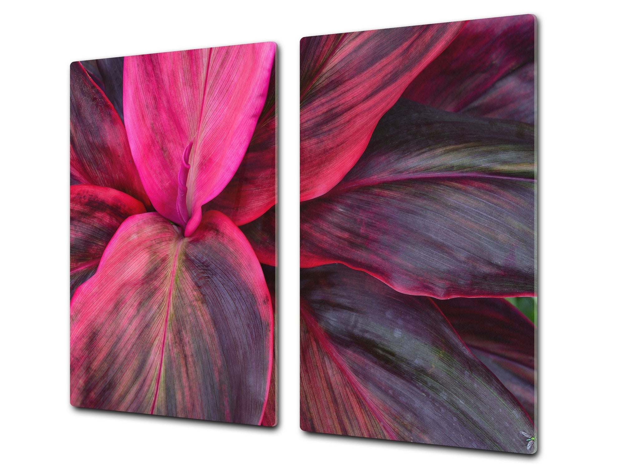 Tempered GLASS Cutting Board – Worktop saver and Pastry Board –- Glass Kitchen Board; MEASURES: SINGLE: 60 x 52 cm (23,62” x 20,47”); DOUBLE: 30 x 52 cm (11,81” x 20,47”); D34 Nature Series: Fluorescent leaves
