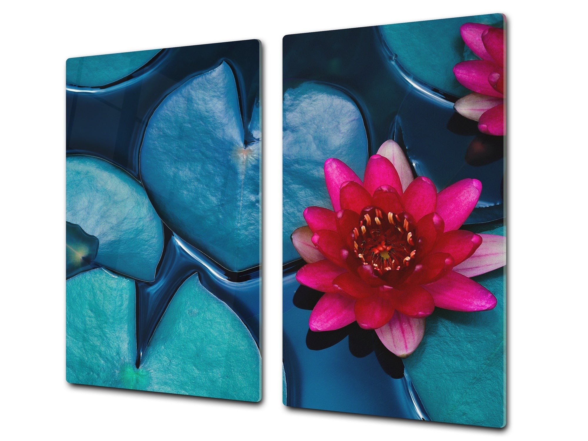 Tempered GLASS Cutting Board – Worktop saver and Pastry Board –- Glass Kitchen Board; MEASURES: SINGLE: 60 x 52 cm (23,62” x 20,47”); DOUBLE: 30 x 52 cm (11,81” x 20,47”); D34 Nature Series: Pink lotus flower