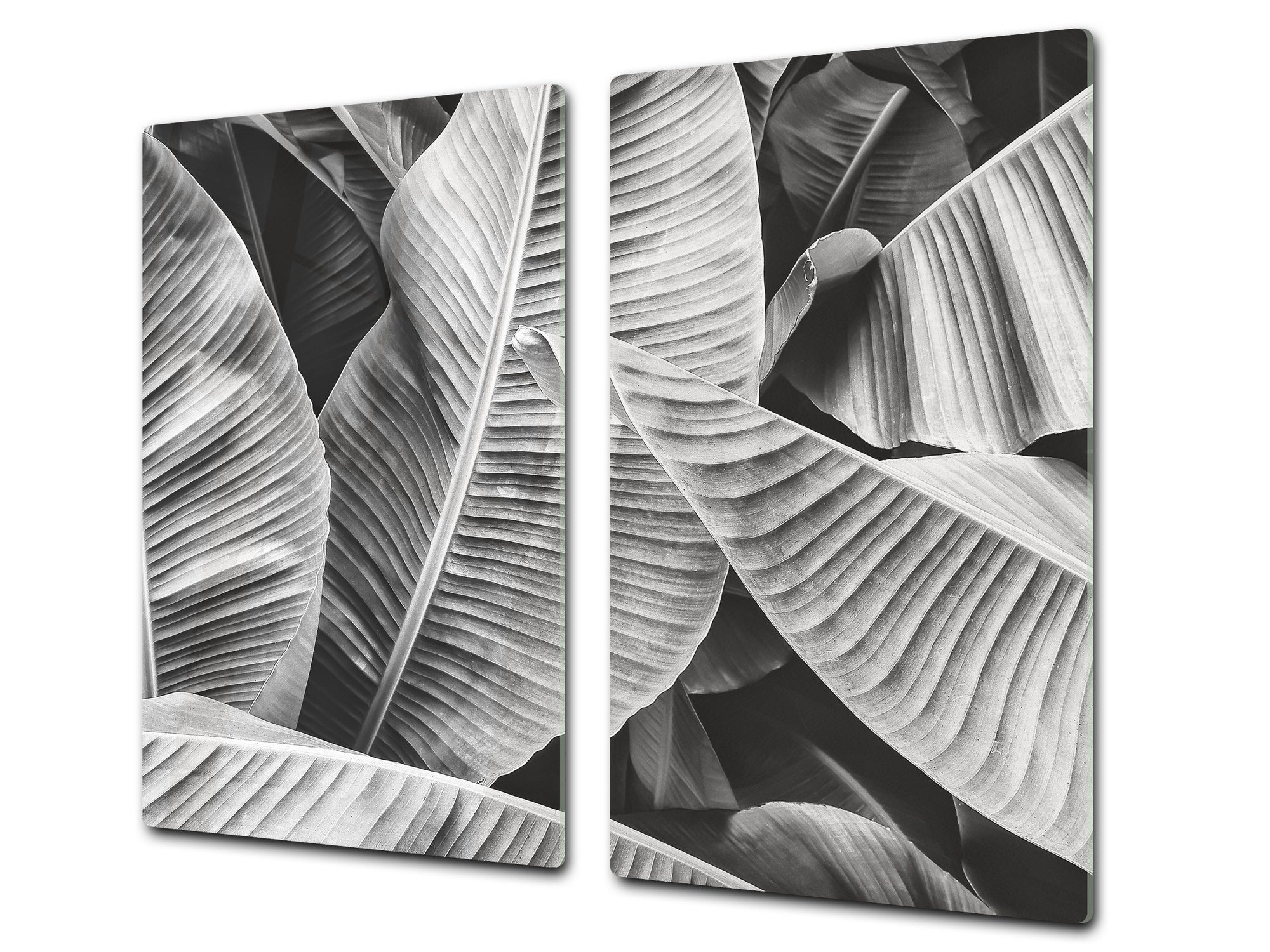 Tempered GLASS Cutting Board – Worktop saver and Pastry Board –- Glass Kitchen Board; MEASURES: SINGLE: 60 x 52 cm (23,62” x 20,47”); DOUBLE: 30 x 52 cm (11,81” x 20,47”); D34 Nature Series: Black and white banana leaves