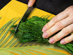 Enorme Cubre vitros de cristal templado - Serie de alimentos DD16 Comida Africa