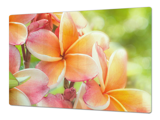 Enorme Cubre vitros de cristal templado - Serie de alimentos DD16 Comida Africa