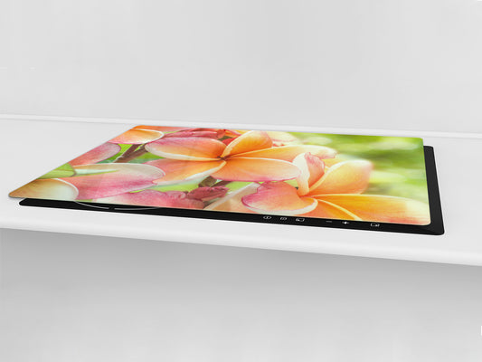 Enorme Cubre vitros de cristal templado - Serie de alimentos DD16 Comida Africa