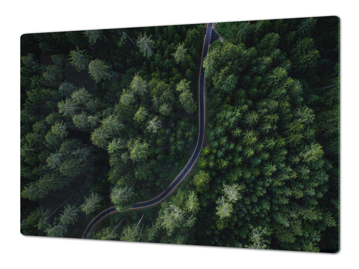 ENORMOUS  Tempered GLASS Chopping Board - Induction Cooktop Cover – SINGLE: 80 x 52 cm; DOUBLE: 40 x 52 cm; DD49 Miscellaneous series : Forest road