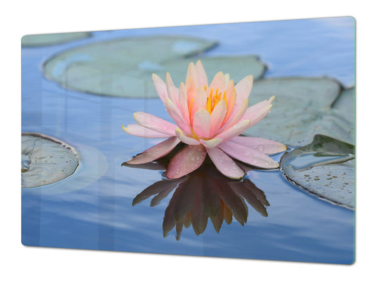 Gigantic Worktop saver and Pastry Board - Tempered GLASS Cutting Board - MEASURES: SINGLE: 80 x 52 cm; DOUBLE: 40 x 52 cm; DD44 Nature series : Beautiful water lilly flower 1
