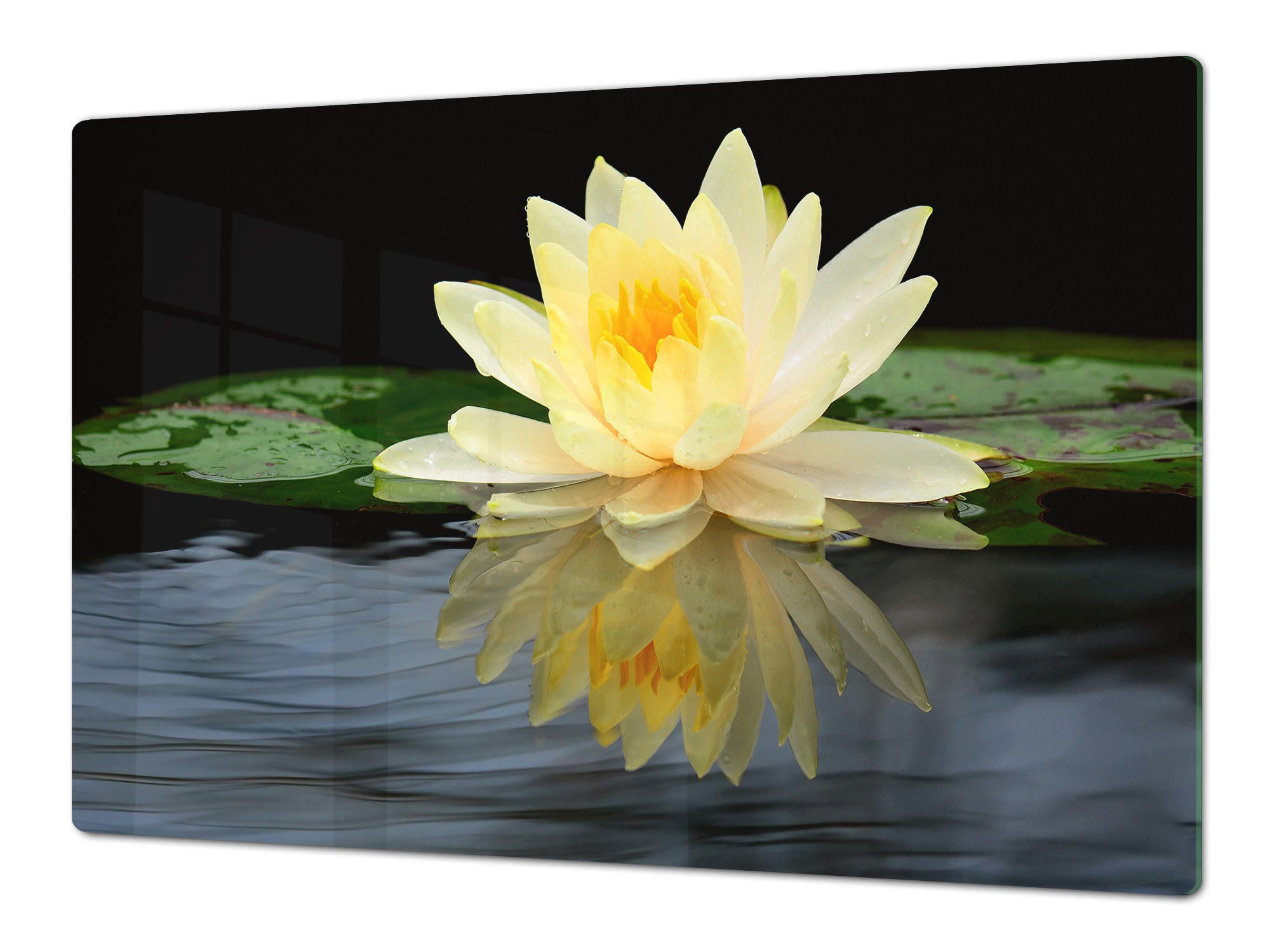 Gigantic Worktop saver and Pastry Board - Tempered GLASS Cutting Board - MEASURES: SINGLE: 80 x 52 cm; DOUBLE: 40 x 52 cm; DD44 Nature series : Beautiful water lilly flower 2