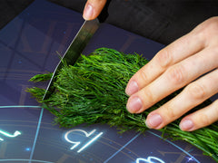 ENORMOUS  Tempered GLASS Chopping Board - Induction Cooktop Cover – SINGLE: 80 x 52 cm; DOUBLE: 40 x 52 cm; DD52a : Circle of Zodiac