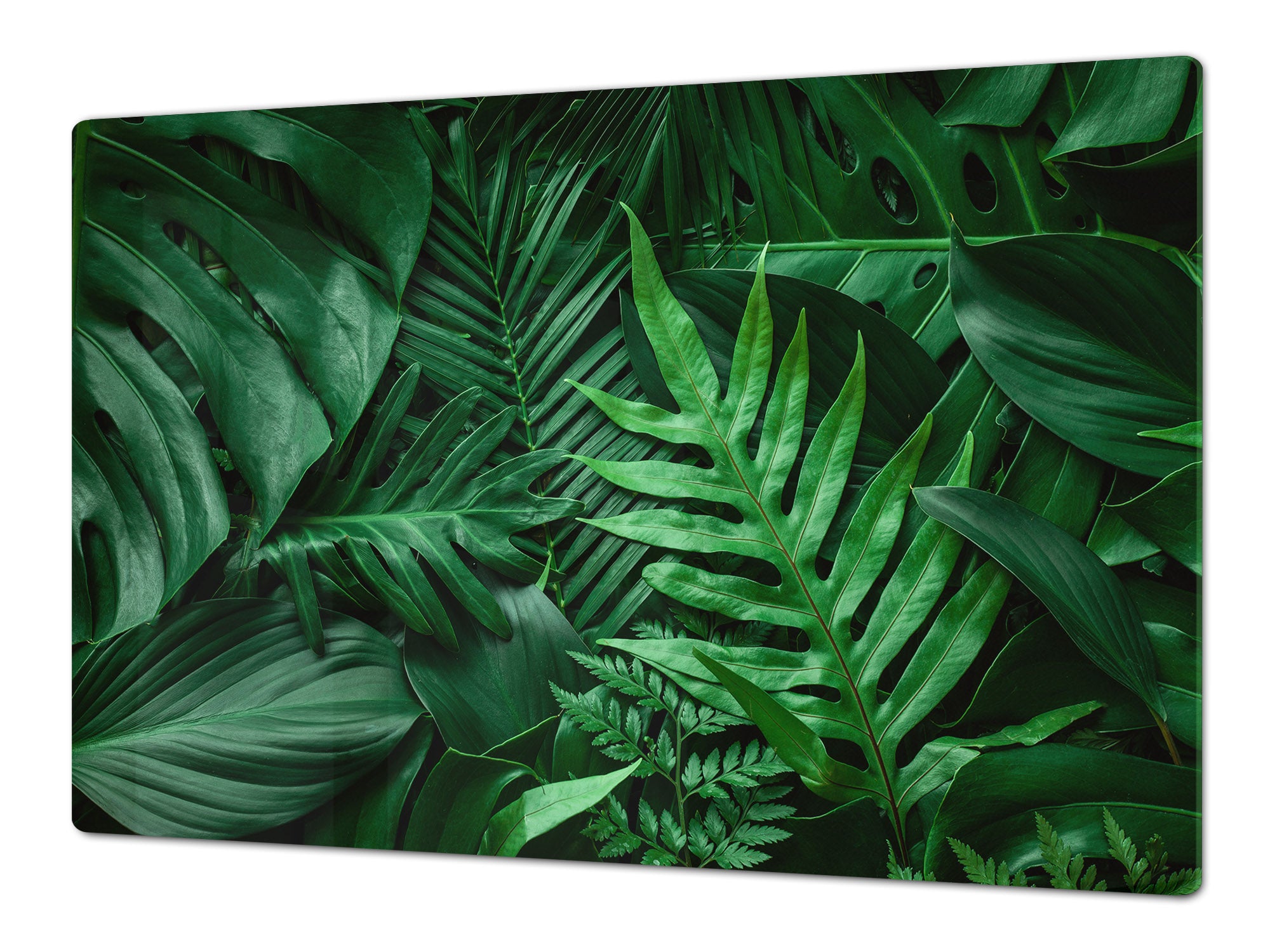 Gigantic Worktop saver and Pastry Board - Tempered GLASS Cutting Board - MEASURES: SINGLE: 80 x 52 cm; DOUBLE: 40 x 52 cm; DD44 Nature series : Dark tropical nature