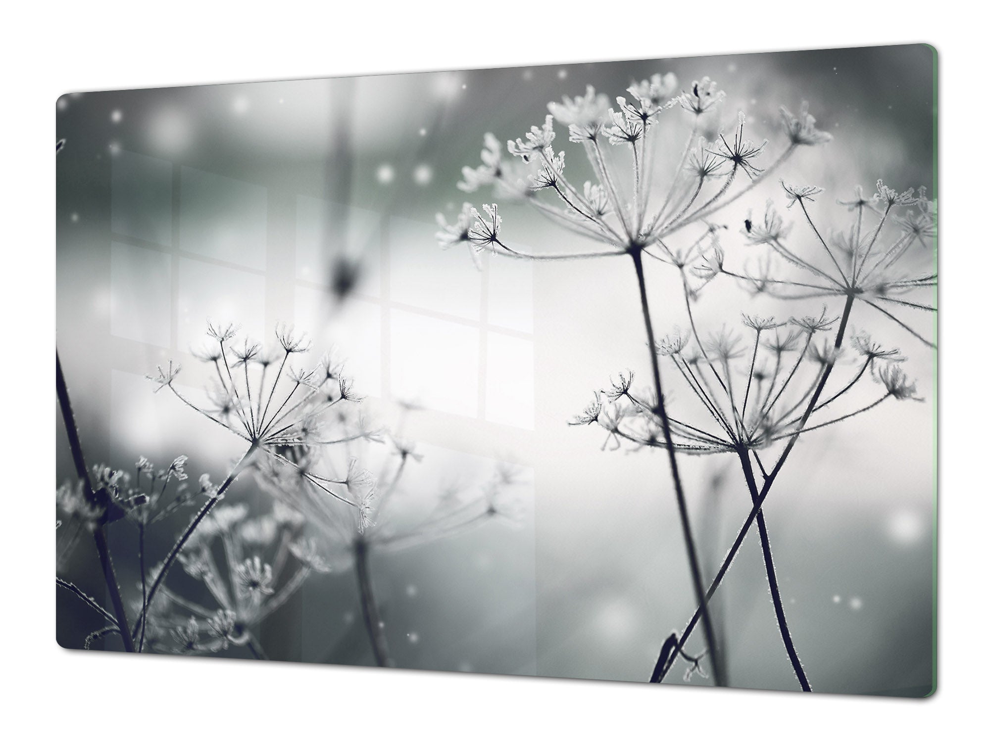 ENORMOUS  Tempered GLASS Chopping Board - Induction Cooktop Cover – SINGLE: 80 x 52 cm; DOUBLE: 40 x 52 cm; DD51 : Winter Flower Scene